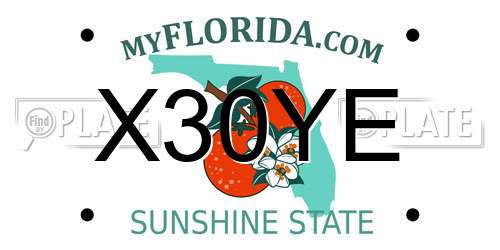 X30YE Florida License Plate
