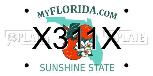 X311X Florida License Plate