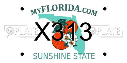 X313 Florida License Plate