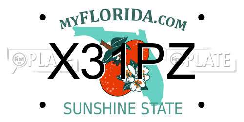 X31PZ Florida License Plate
