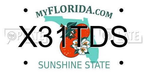 X31TDS Florida License Plate