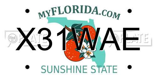 X31WAE Florida License Plate