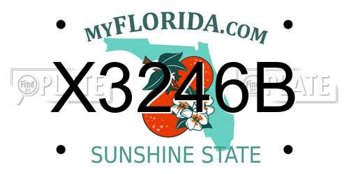 X3246B Florida License Plate