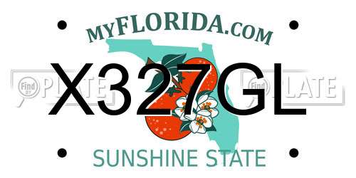X327GL Florida License Plate