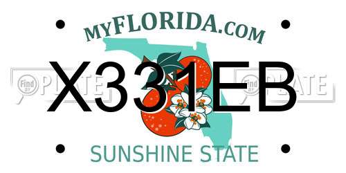 X331EB Florida License Plate
