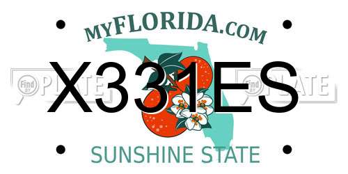 X331ES Florida License Plate
