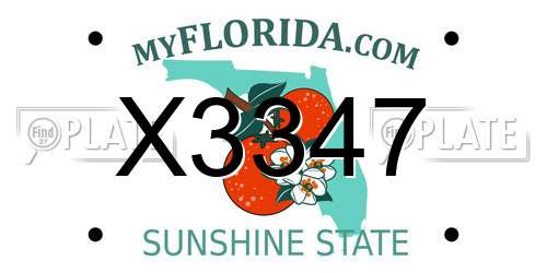 X3347 Florida License Plate