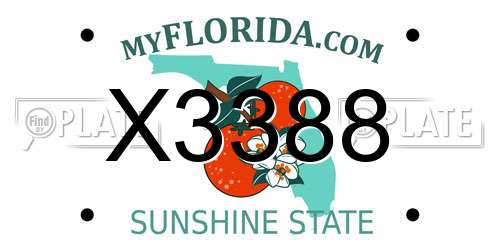 X3388 Florida License Plate