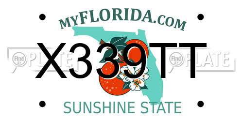X339TT Florida License Plate