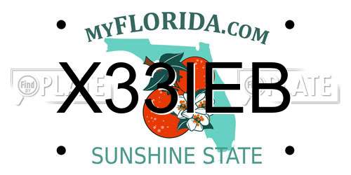 X33IEB Florida License Plate