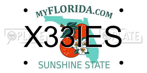 X33IES Florida License Plate