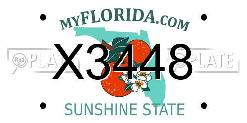 X3448 Florida License Plate