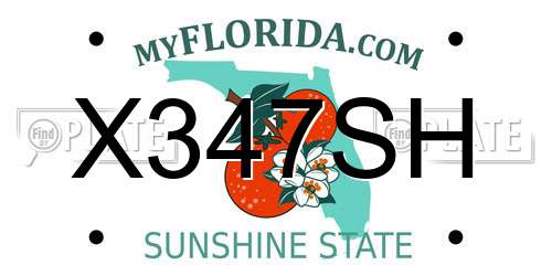 X347SH Florida License Plate
