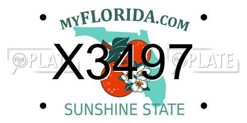 X3497 Florida License Plate