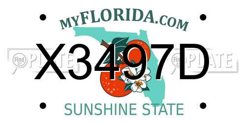 X3497D Florida License Plate