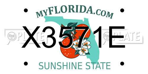 X3571E Florida License Plate