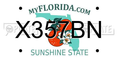 X357BN Florida License Plate