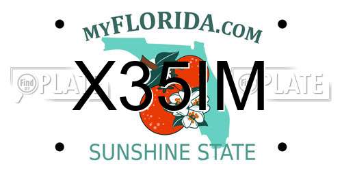X35IM Florida License Plate