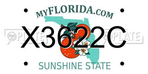 X3622C Florida License Plate