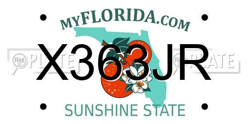 X363JR Florida License Plate
