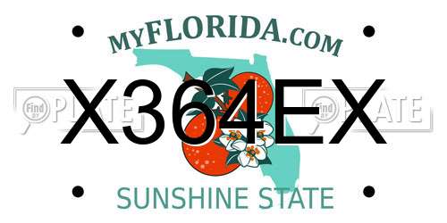 X364EX Florida License Plate