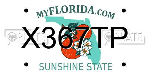 X367TP Florida License Plate