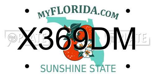 X369DM Florida License Plate