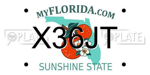 X36JT Florida License Plate