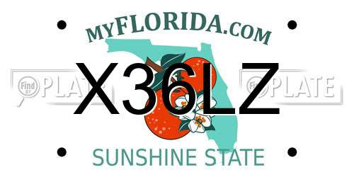 X36LZ Florida License Plate