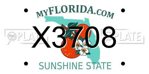 X3708 Florida License Plate