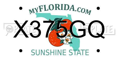 X375GQ Florida License Plate
