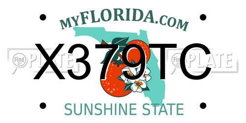 X379TC Florida License Plate
