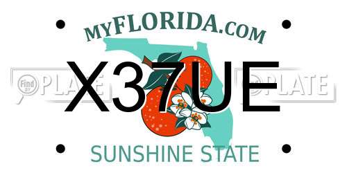 X37UE Florida License Plate
