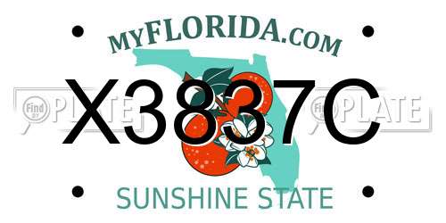 X3837C Florida License Plate