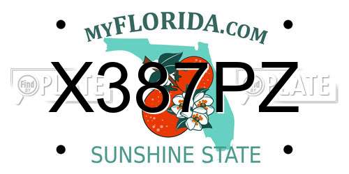 X387PZ Florida License Plate