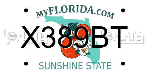 X389BT Florida License Plate