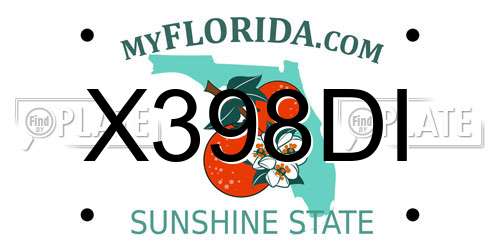 X398DI Florida License Plate