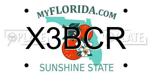 X3BCR Florida License Plate