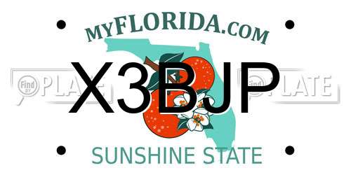 X3BJP Florida License Plate