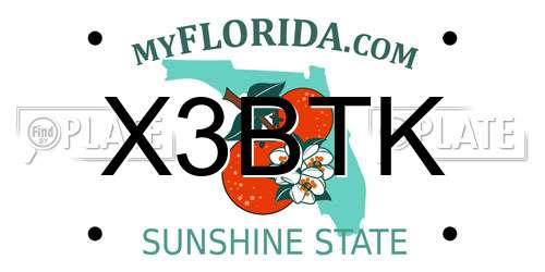 X3BTK Florida License Plate