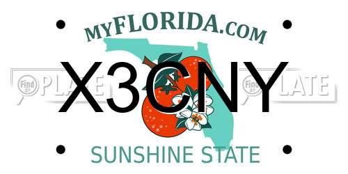X3CNY Florida License Plate