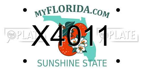 X4011 Florida License Plate
