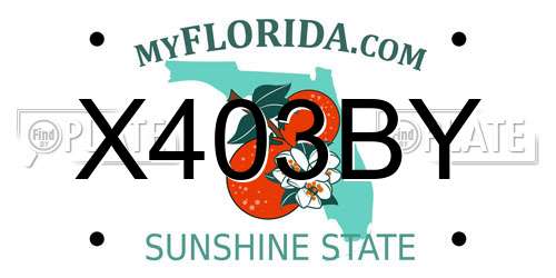 X403BY Florida License Plate