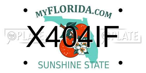 X404IF Florida License Plate