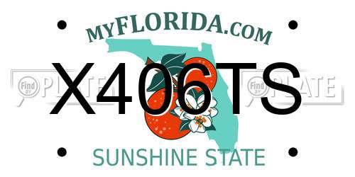 X406TS Florida License Plate