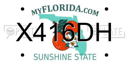 X416DH Florida License Plate