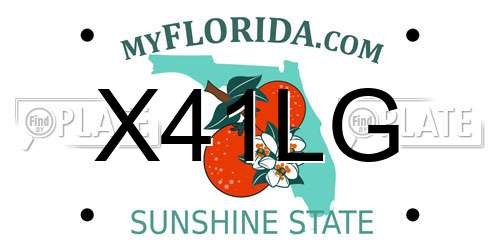 X41LG Florida License Plate