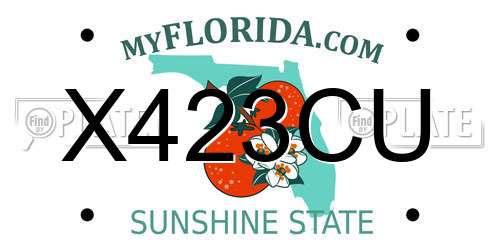 X423CU Florida License Plate