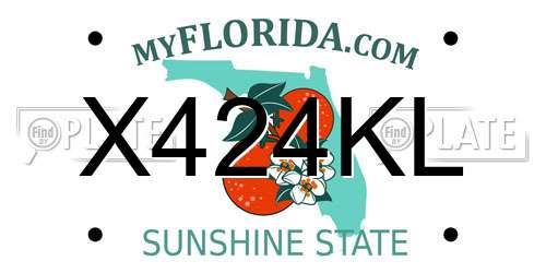 X424KL Florida License Plate