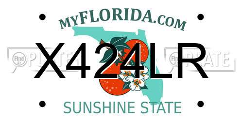 X424LR Florida License Plate